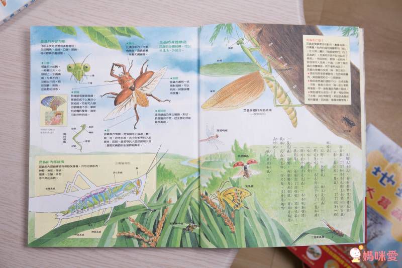 東方套書開箱☆經典必收☞ 福爾摩斯、世界經典文學、科學小百科