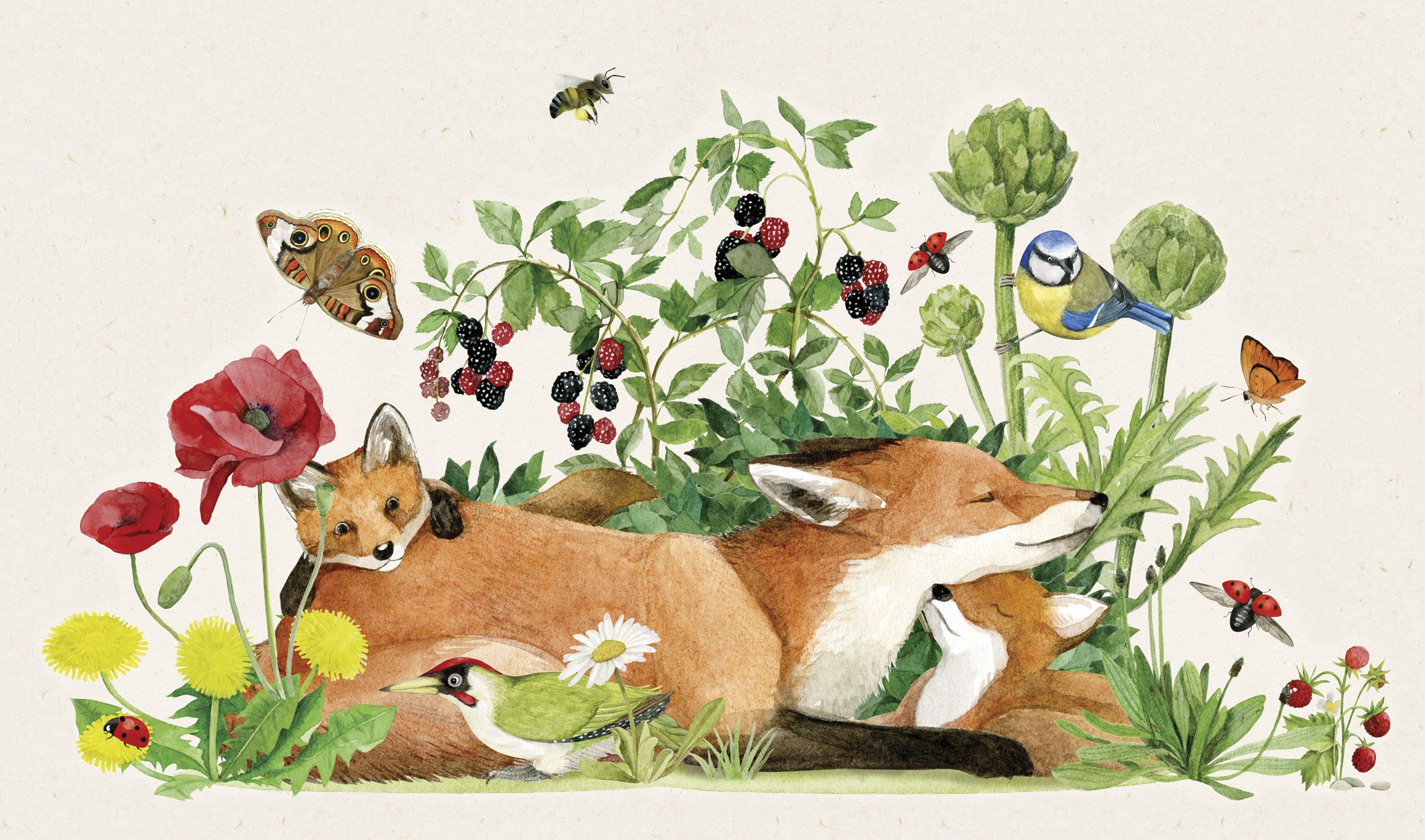 Moulin Roty - 故事手電筒精裝組-探索世界