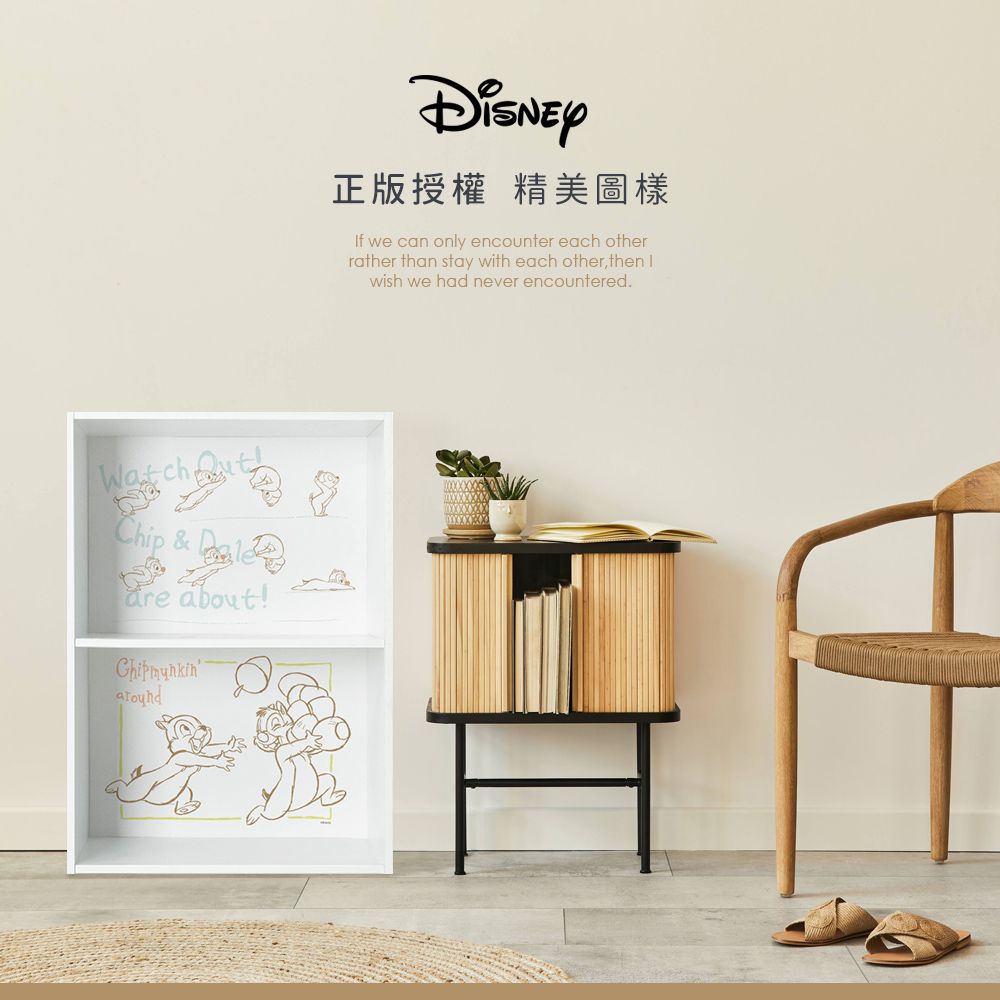 迪士尼 Disney  【奇奇蒂蒂】 雙層收納空櫃 二層櫃 雙層櫃 收納櫃 書櫃 木櫃