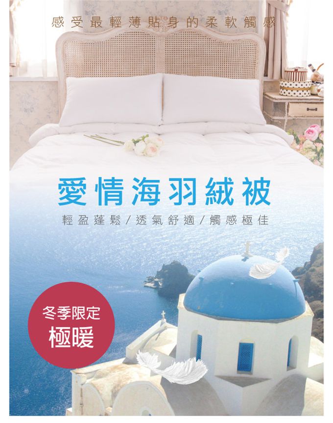 鴻宇 HongYew - 100%天然水鳥羽毛 愛情海羽絨被 冬被 美國棉-雙人6x7