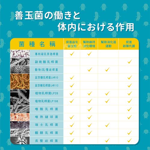 機能活菌12-30包/盒 (無添加砂糖升級版)-30包/盒