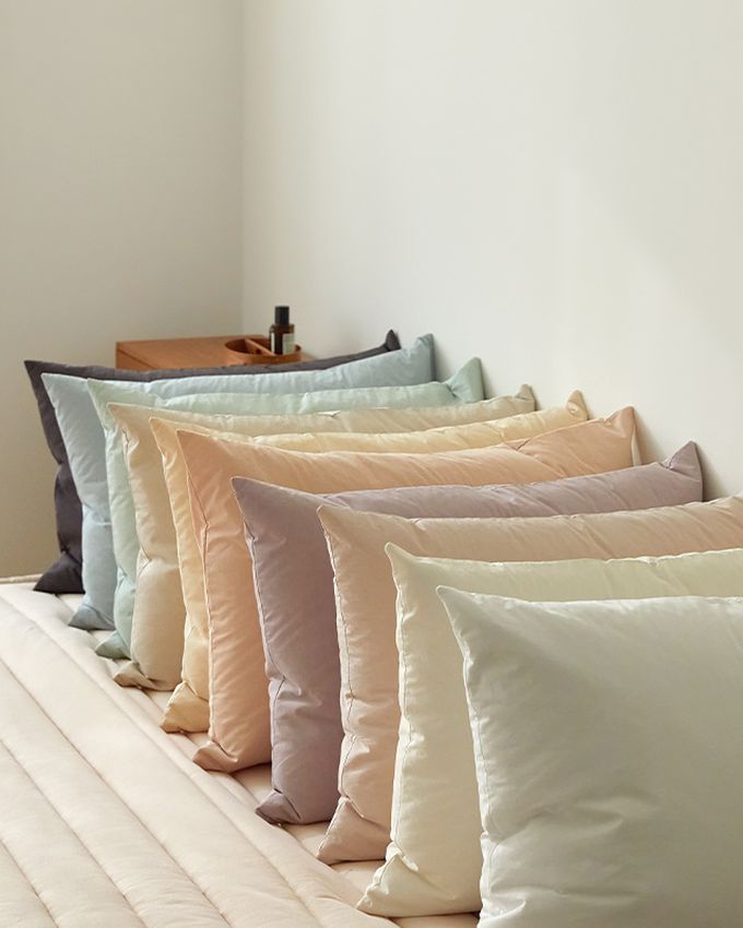 韓國 Maatila - 高密度60支棉枕套-奶油黃 (50X70cm)