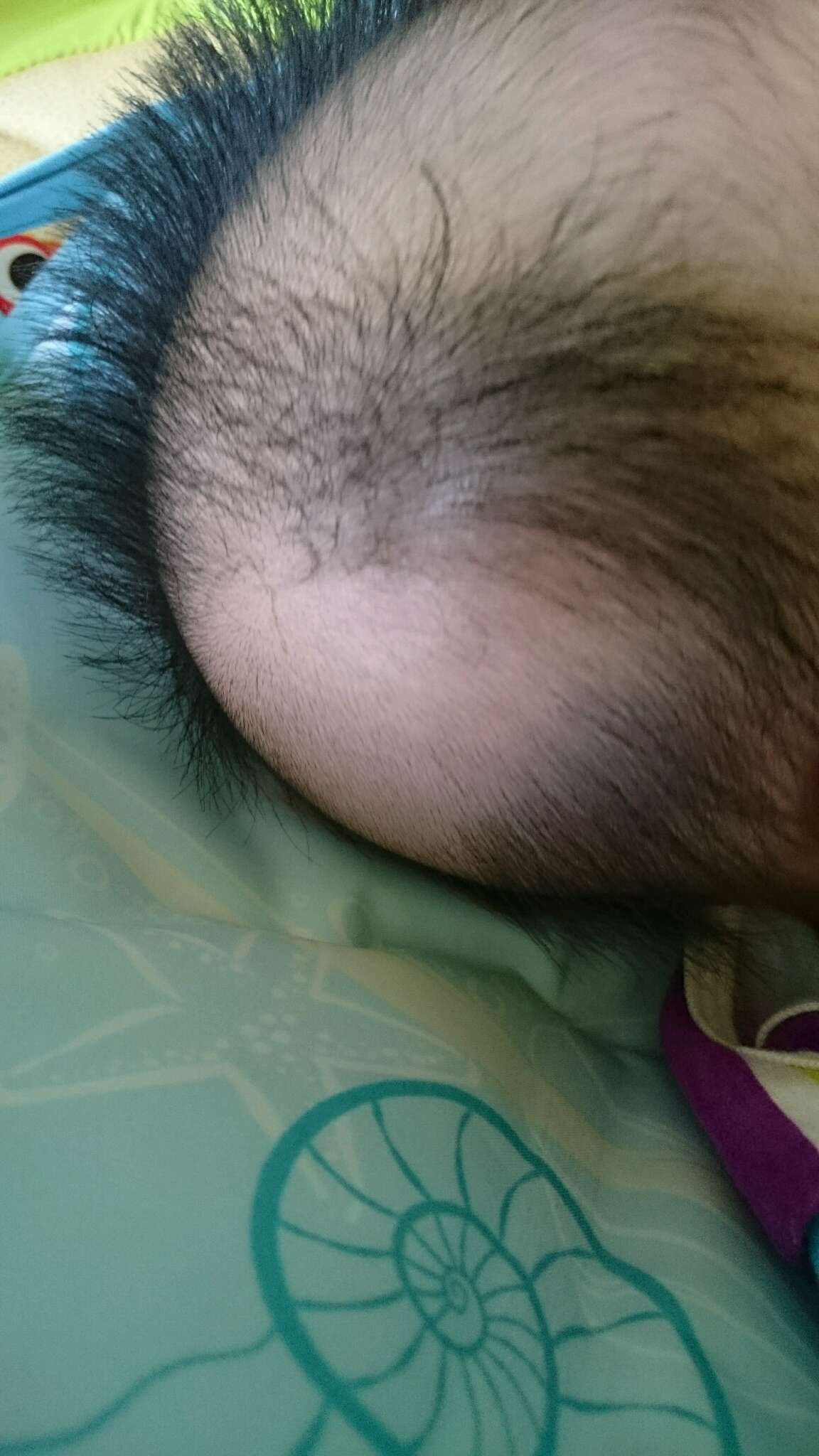 新生兒頭髮