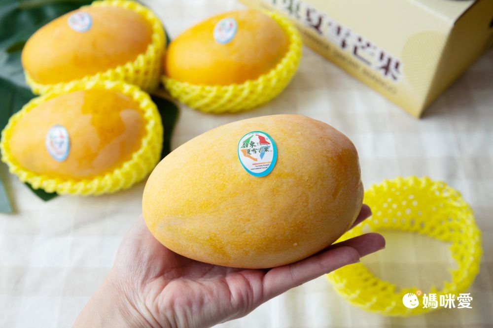 【台東 夏雪芒果】精品外銷等級，芒果界的LV！