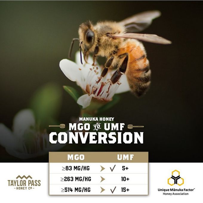 壽滿趣 - TaylorPass紐西蘭活性麥蘆卡蜂蜜 UMF5+-250公克