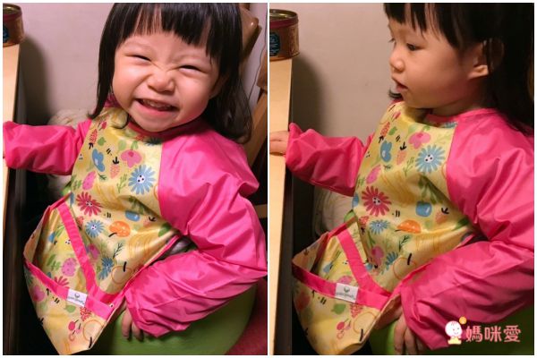 美國 green sprouts - 魔鬼氈雙面防水/防食物掉落長袖圍兜單入組-甜蜜花園