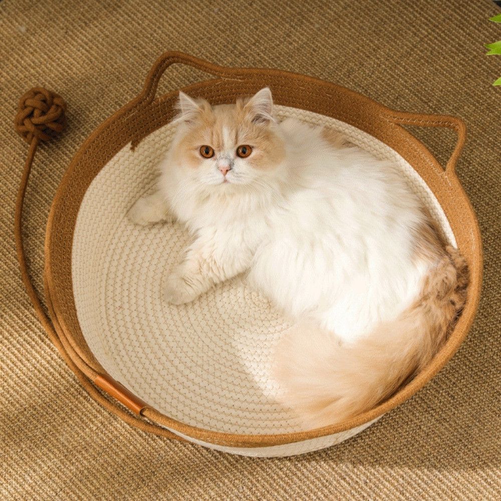 天然蒲草貓貓大碗公-加大款3色可選