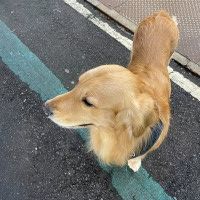 用戶頭像