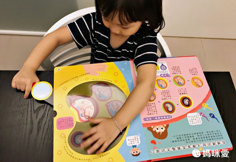 双美生活文創 - 【獨家組】我的第一本觸控點讀有聲書(ABC＋學前認知) ＋探照燈找一找：透視身體大解密