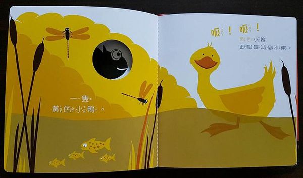 變色龍探索世界的顏色