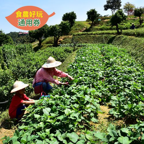 農遊超市 - 宜蘭_香格里拉休閒農場-食農好玩單人體驗券 (田野採食)