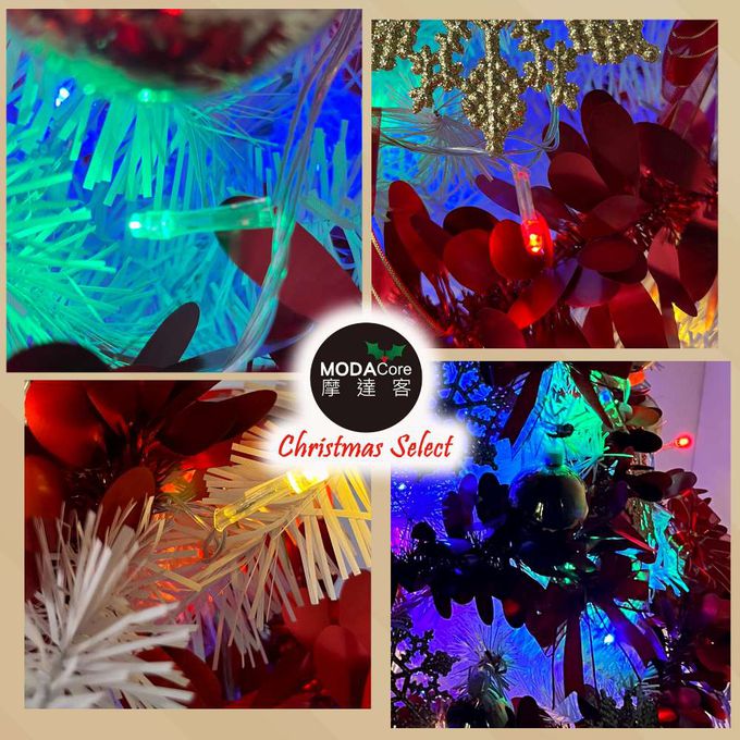 MODACore 摩達客 - 摩達客耶誕-2尺/2呎(60cm)特仕幸福型裝飾白色聖誕樹 (風華金雪紅緞系全套飾品)+20燈LED燈插電式彩光*1/贈控制器/本島免運費