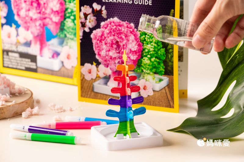 NATIONAL GEOGRAPHIC - 國家地理頻道 紙樹開花(水晶花園實驗套組)