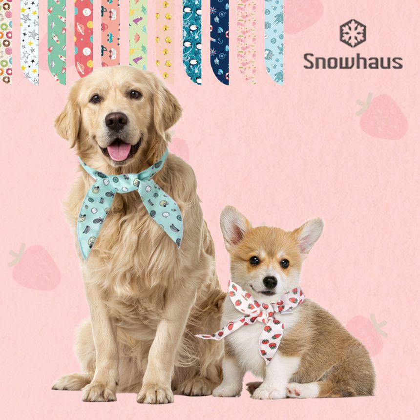 韓國 Snowhaus - 正韓製涼感降溫領巾/頭帶-三角西瓜-黃 (85x5cm)-兒童用