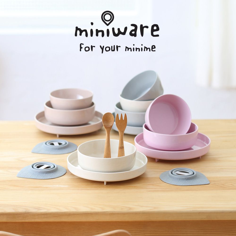 美國 Miniware
