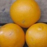 用戶頭像