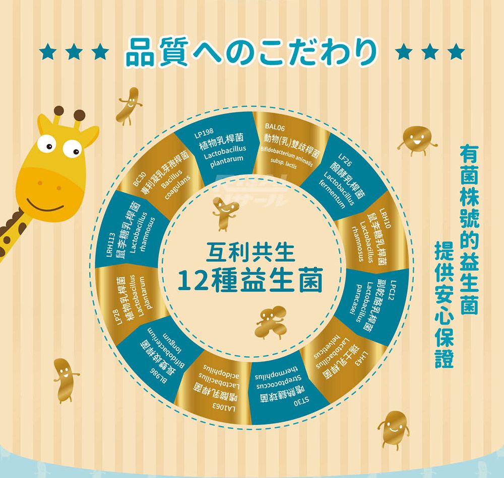 小兒利撒爾Risal - 機能活菌12-30包/盒 x兩盒組(無添加砂糖升級版)-30包/盒