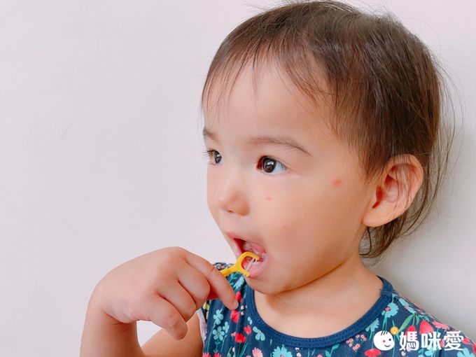 akachan honpo - 刷牙老師 幼兒用海綿牙線棒