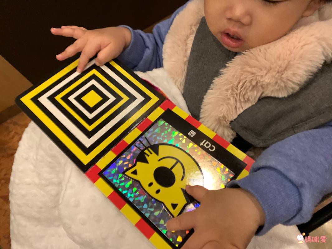 小瓢蟲中英雙語系列 ★啟蒙認知五書組★ 0歲開始看，依寶寶視覺發展階段設計！