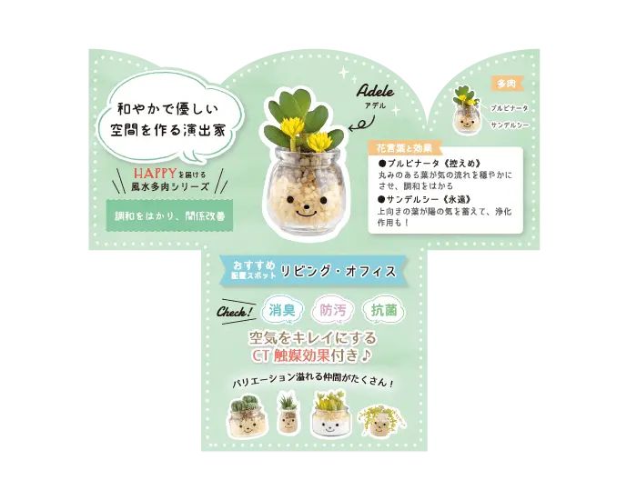 日本 KISHIMA - CT觸媒 開運消臭仿真多肉盆栽-防小人-Adele (S(6.5x7x11cm))