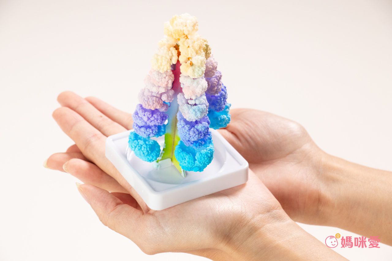 NATIONAL GEOGRAPHIC - 國家地理頻道 紙樹開花(水晶花園實驗套組)