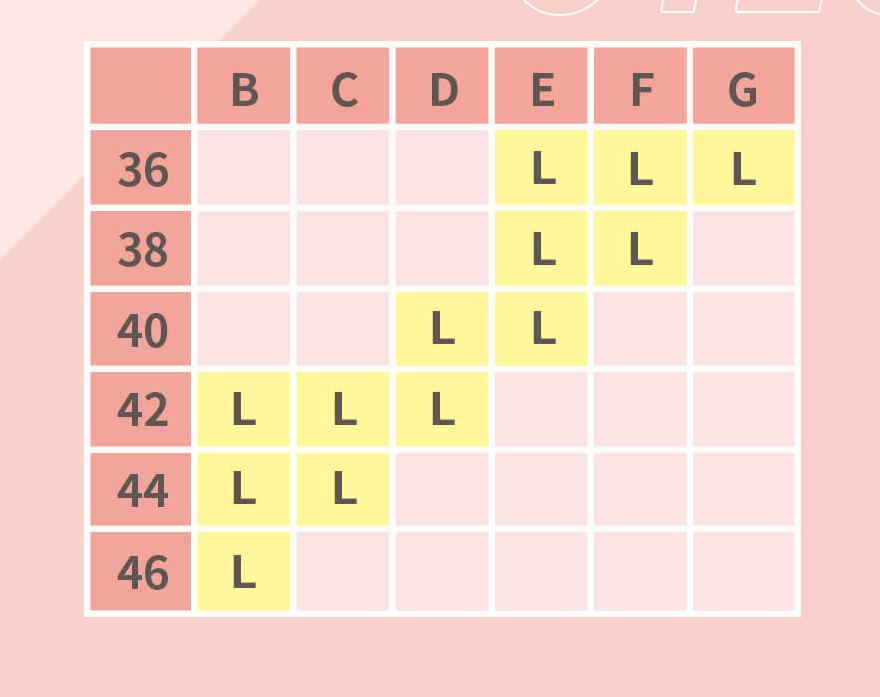 加拿大Bravado - Body Silk Seamless 絲雅無痕哺乳內衣-少女粉 (L)