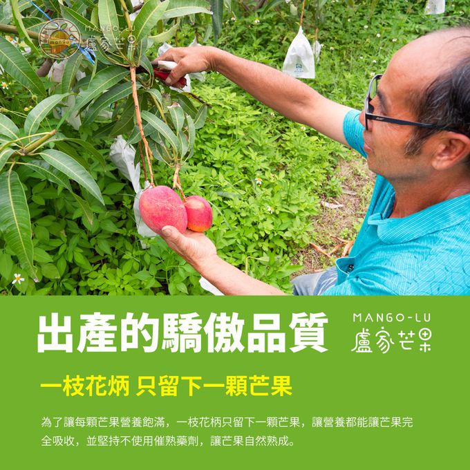 枋山盧家芒果 - 愛文芒果禮盒-本品牌-御用級2.5公斤(7粒裝)