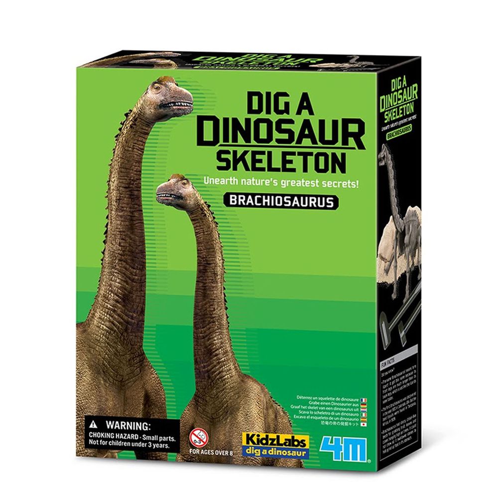 香港4M創意玩具 - 挖掘腕龍(新) Branchosaurus Skeleton