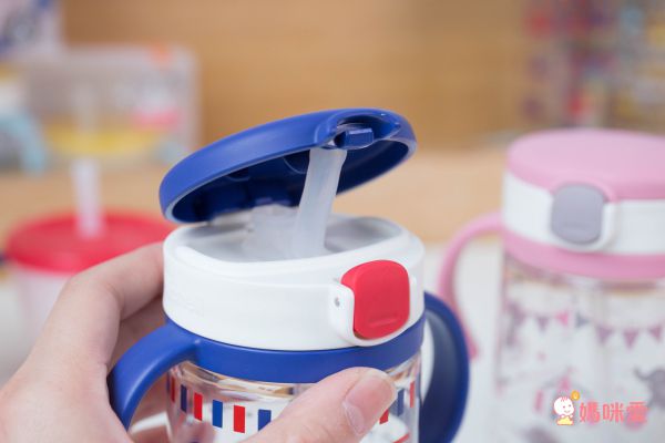 日本 Richell 利其爾水壺