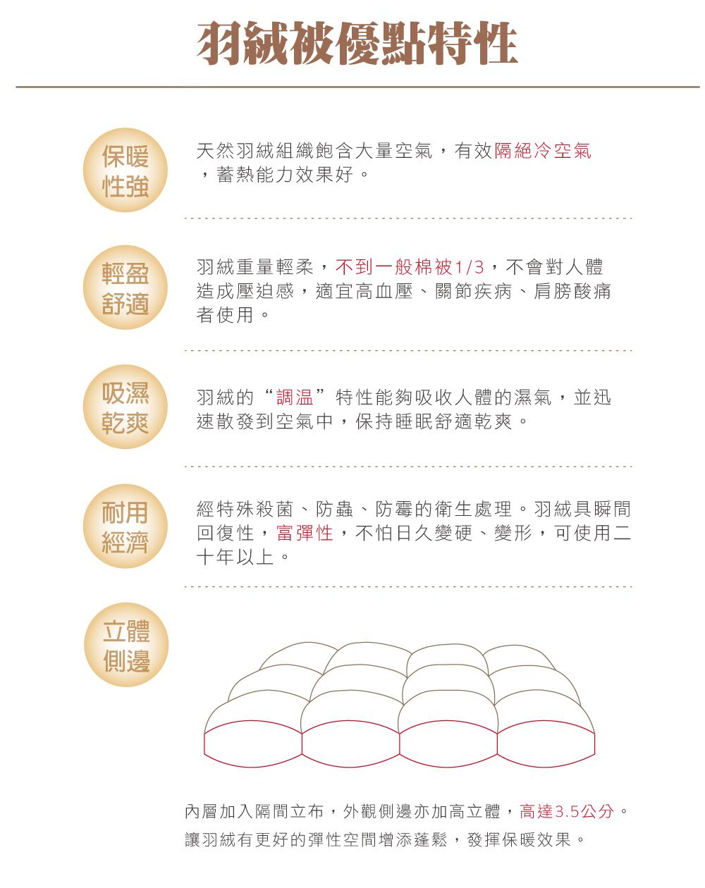 鴻宇 HongYew - 威爾斯羽絨被 冬被 95%匈牙利羽絨 美國棉230織 純棉表布-雙人加大8X7