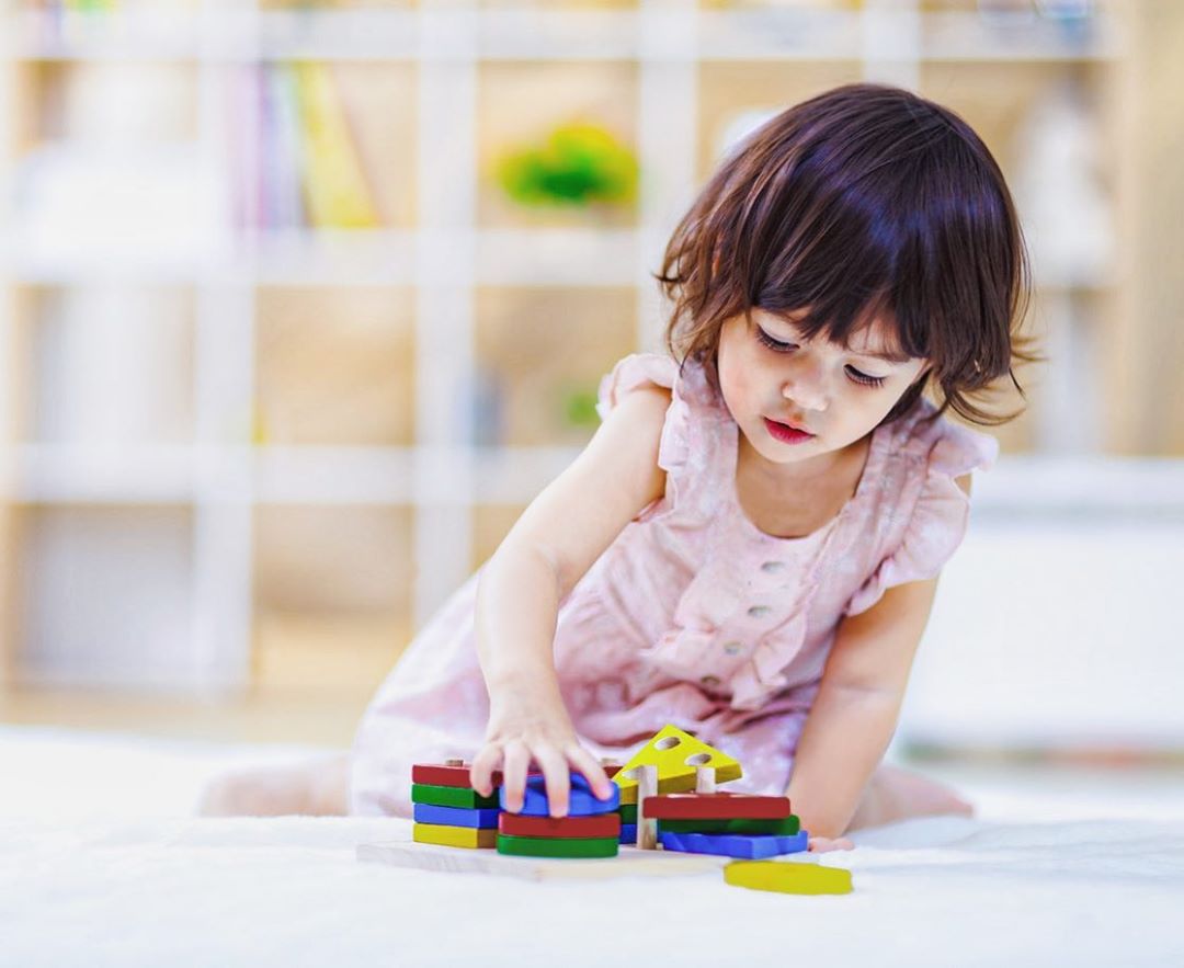 泰國 Plantoys - 幾何形狀分類板