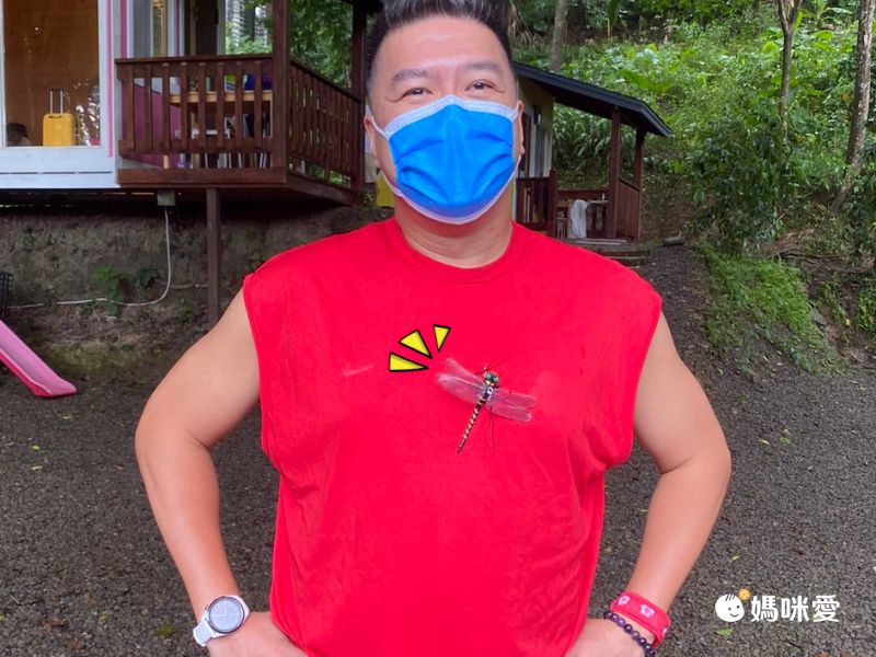 日本代購 - 超仿真蜻蜓君別針/吊飾-無霸勾蜓-黑x黃 (12x10.5cm)