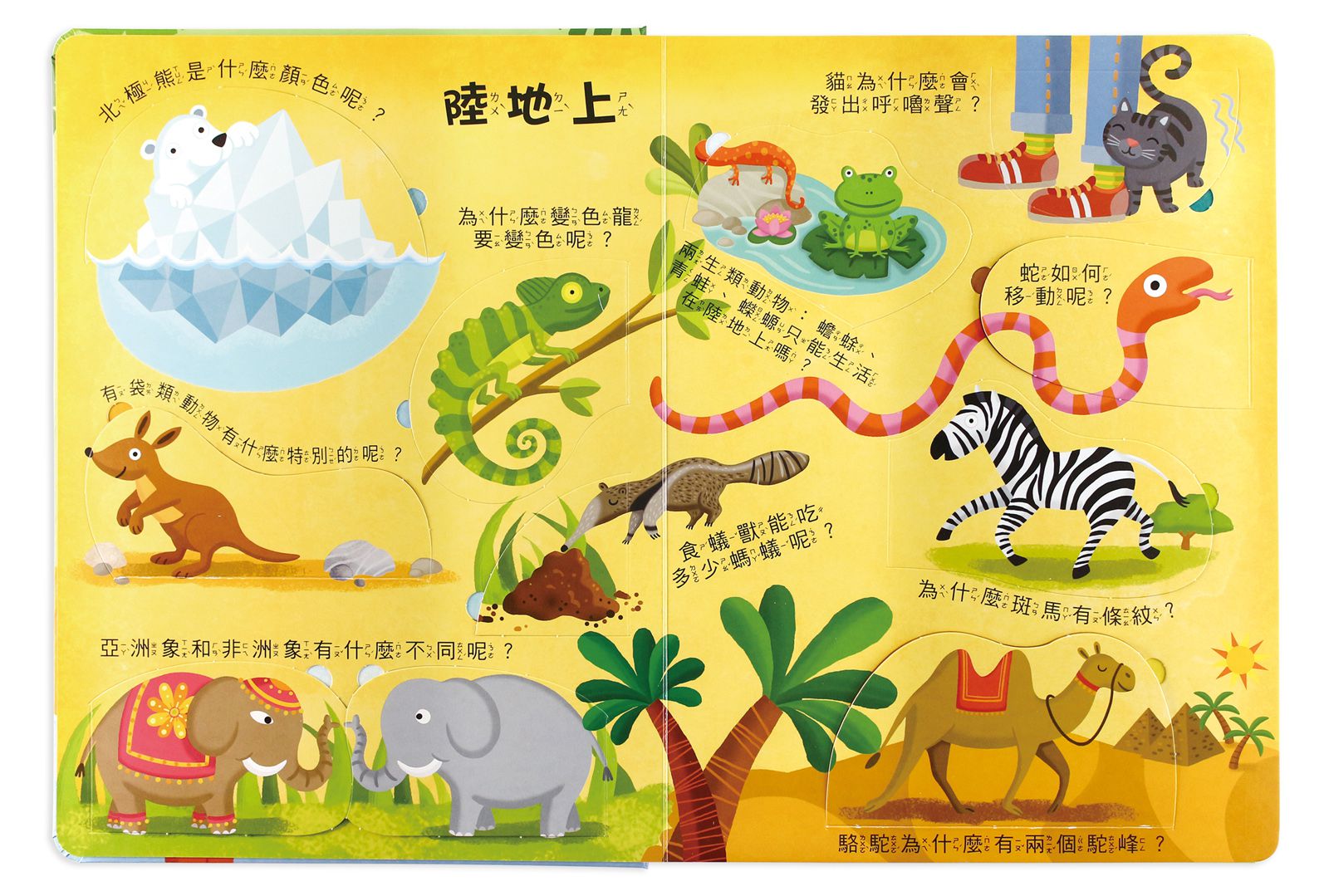 風車圖書 - 我的知識百科翻翻書-【合購】奇妙動物+世界地圖+我的身體+生活中的為什麼