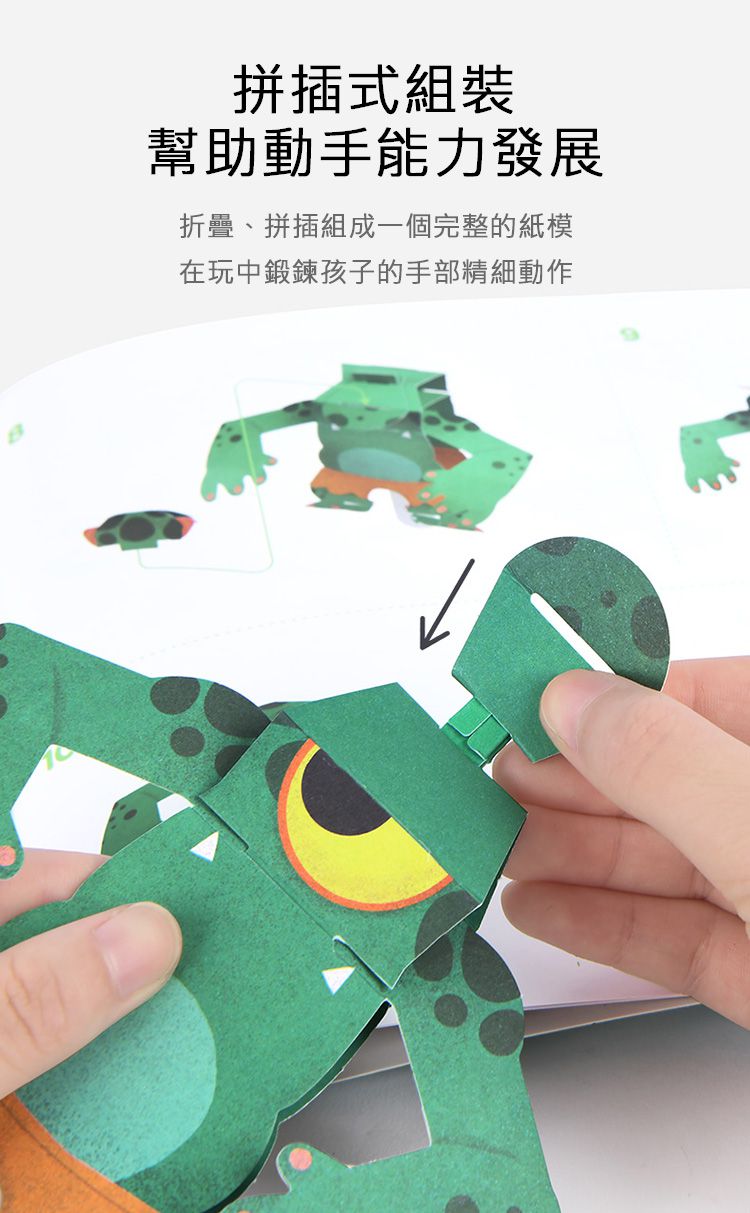 MiDeer - 活動人偶DIY