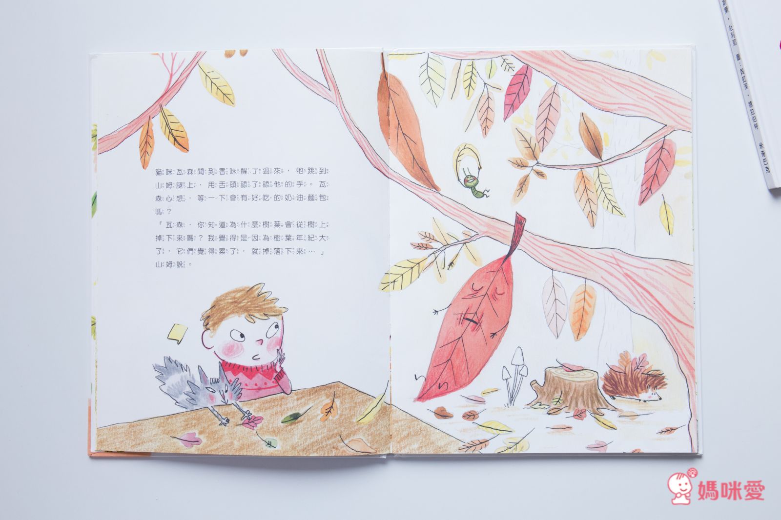 米奇巴克 - 山姆和瓦森-【合購組5書】我是情緒的主人＋生命的四季＋我有自信＋只要我長大＋無聊的秘密