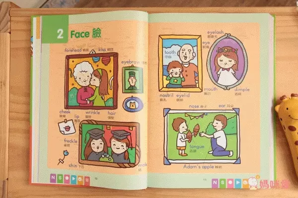 世一文化主題式圖解彩色兒童英漢點讀字典