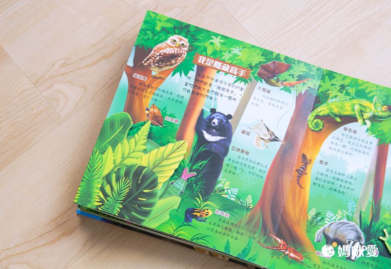 3D立體有聲書-動物星球