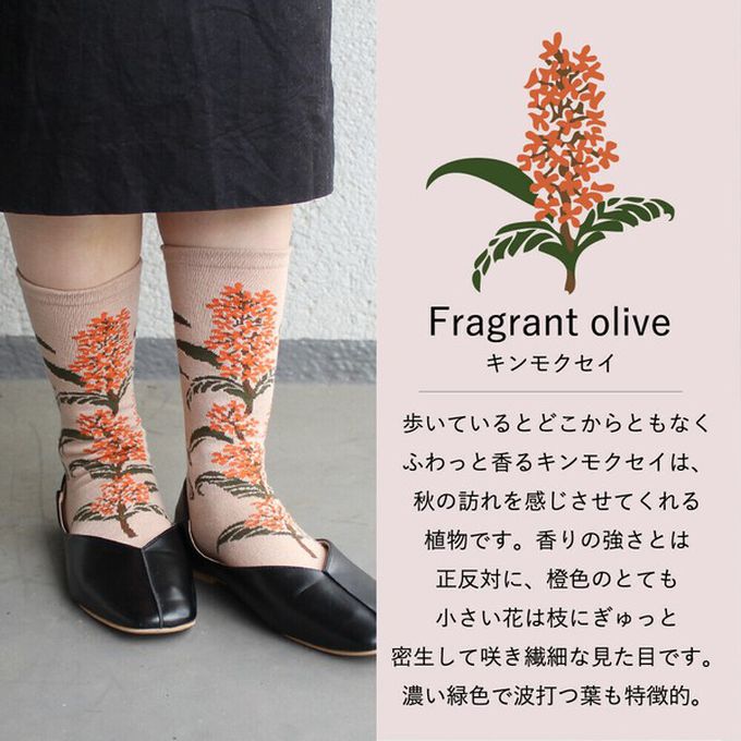 日本女裝代購 - 日本製 唯美花卉風長襪-香橄欖-淺棕 (23-25cm)