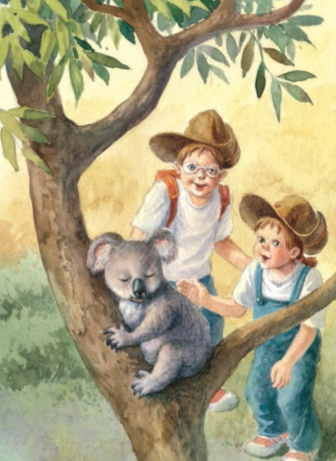 神奇樹屋中英雙語套書 1-55集-大全套