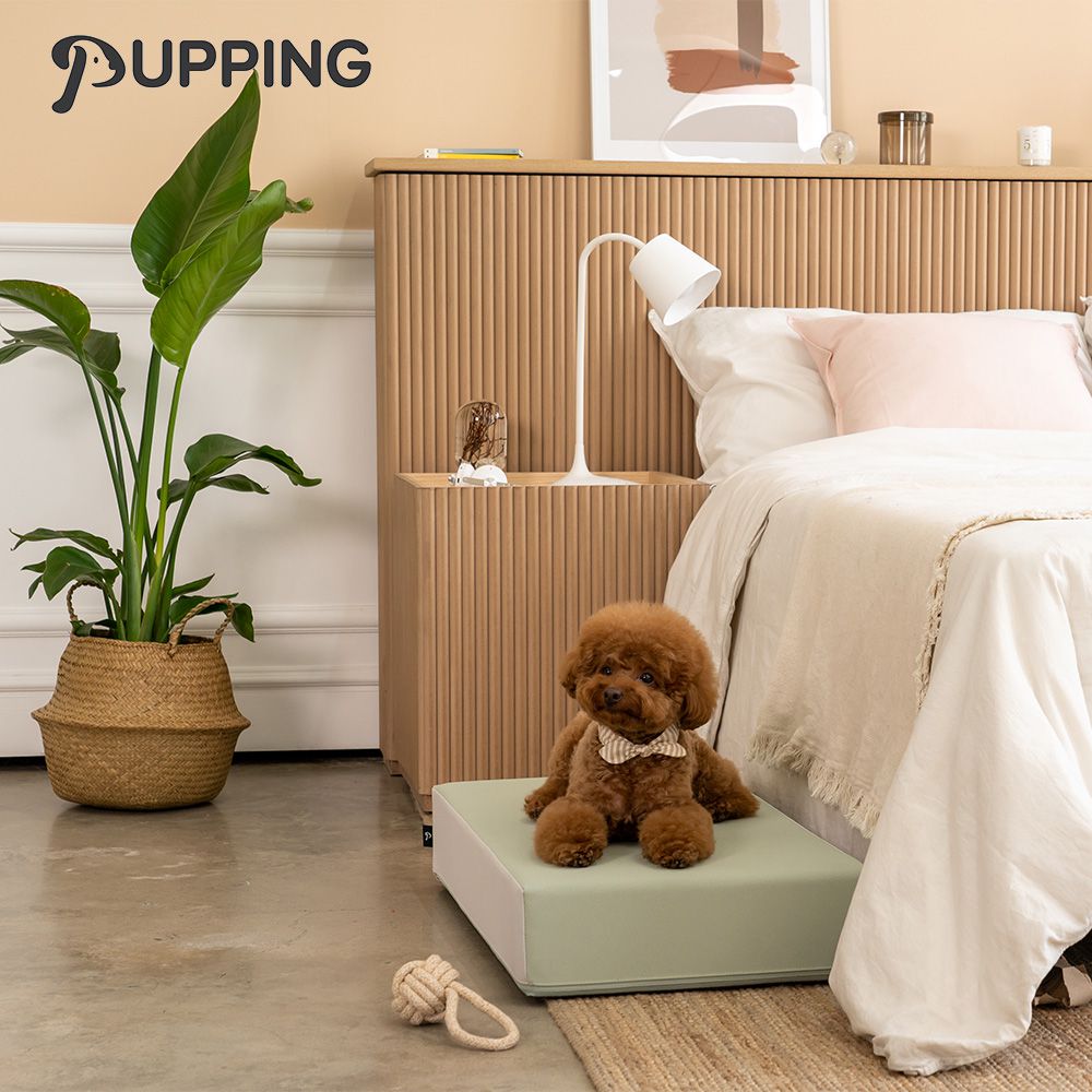 韓國寵物防滑平台 - 草綠色