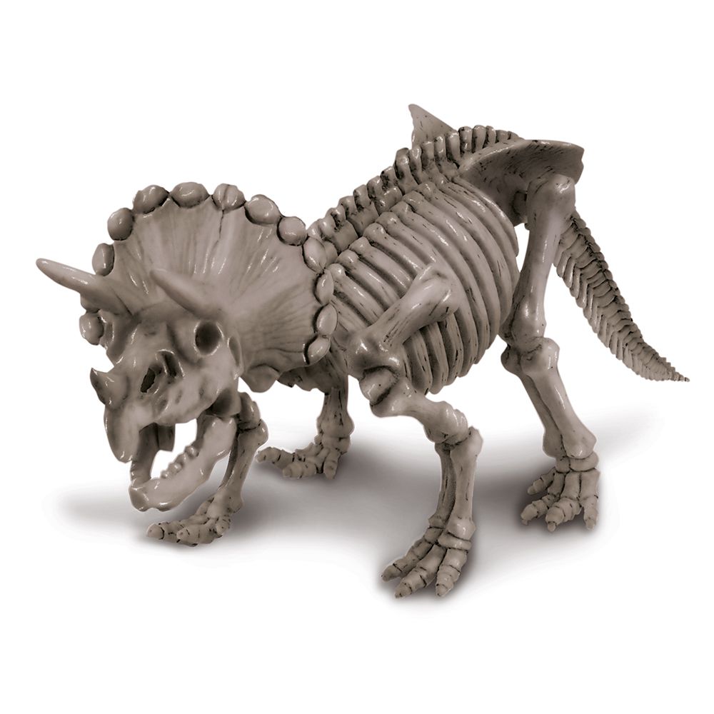 香港4M創意玩具 - 挖掘三角龍(新) Triceratops Skeleton