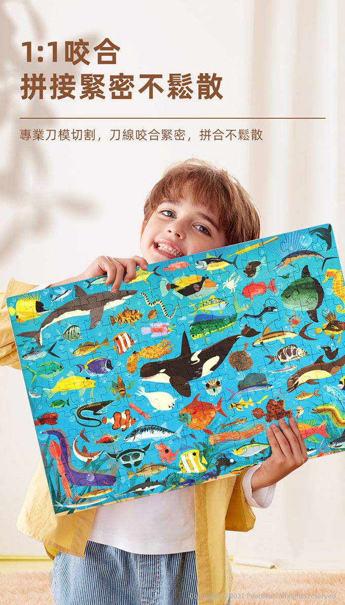 MiDeer - 圓筒百科拼圖-昆蟲世界(126片)