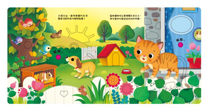 叮叮咚咚音樂會-寵物樂團