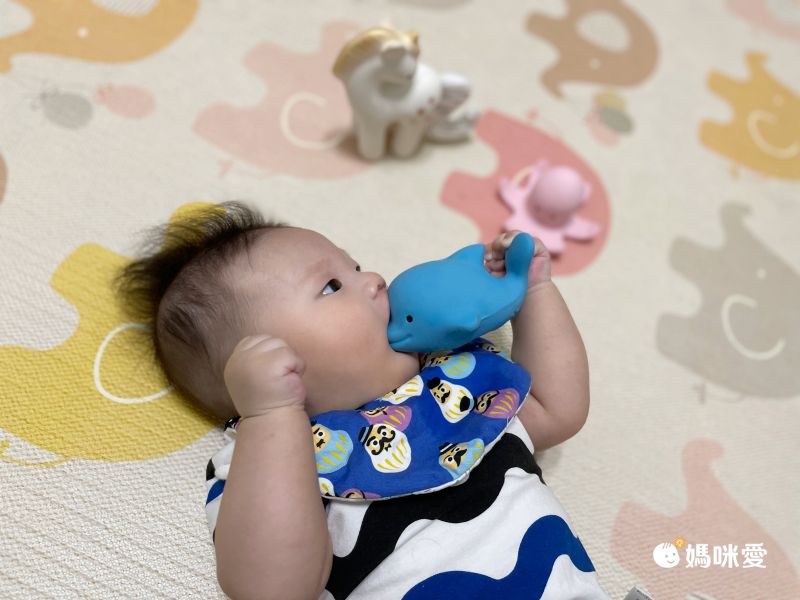 斯里蘭卡TIKIRI - 夢幻獨角獸-金