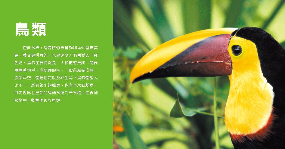 小百科圖鑑：動物小百科-精裝