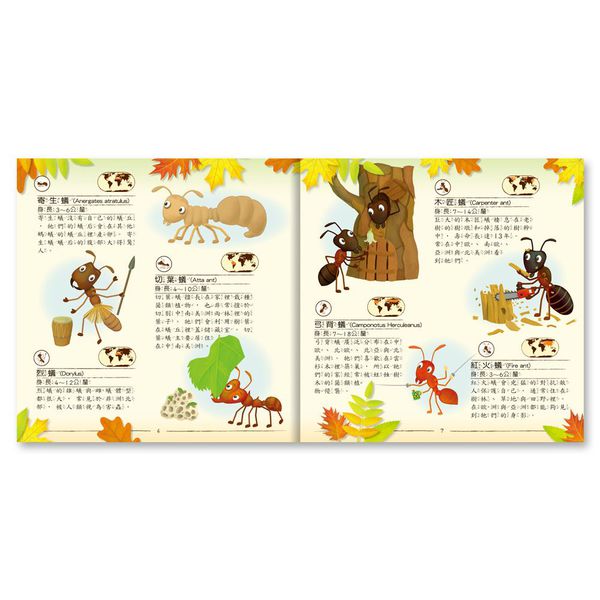 世一文化 - 原來螞蟻的家長這樣