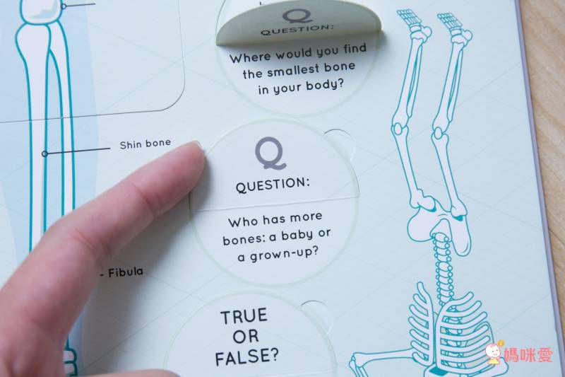 《大象艾瑪ELMER》英文繪本10書＋有聲CD套組✯ 單本不到百元！ 英文親子共讀首選♬