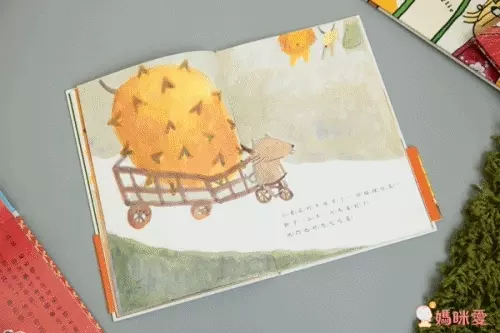 《誰的襪子》超有趣的找找書！訓練孩子專注力＆觀察力