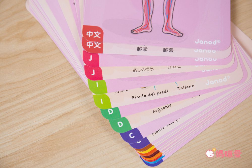 法國Janod - 【熱賣】磁鐵遊戲書-我的身體