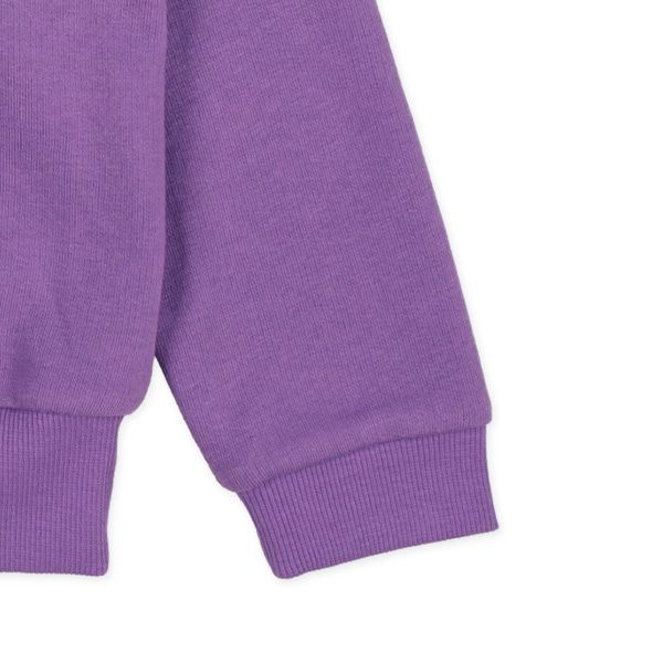 日本西松屋 - 裏毛圓領印花長袖上衣-迅猛龍-米白